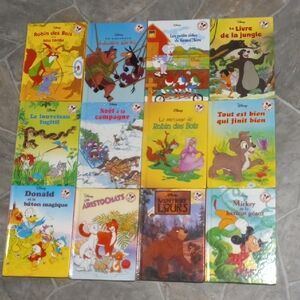 Lot De 12 Livres Disney En Francais Disney Colorful Storybook Kids Set French
